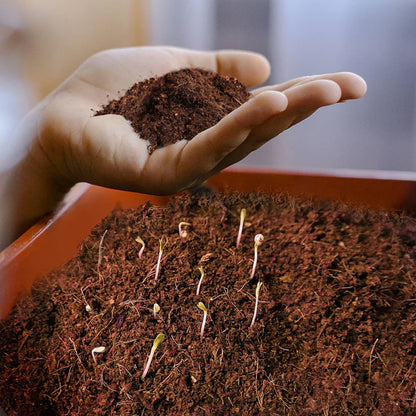 Organic Cocopeat Block – 1 kg Potting Mix for Plants – close-up