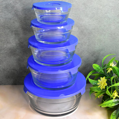 Glass Bowl set – 5-Piece Modern Storage