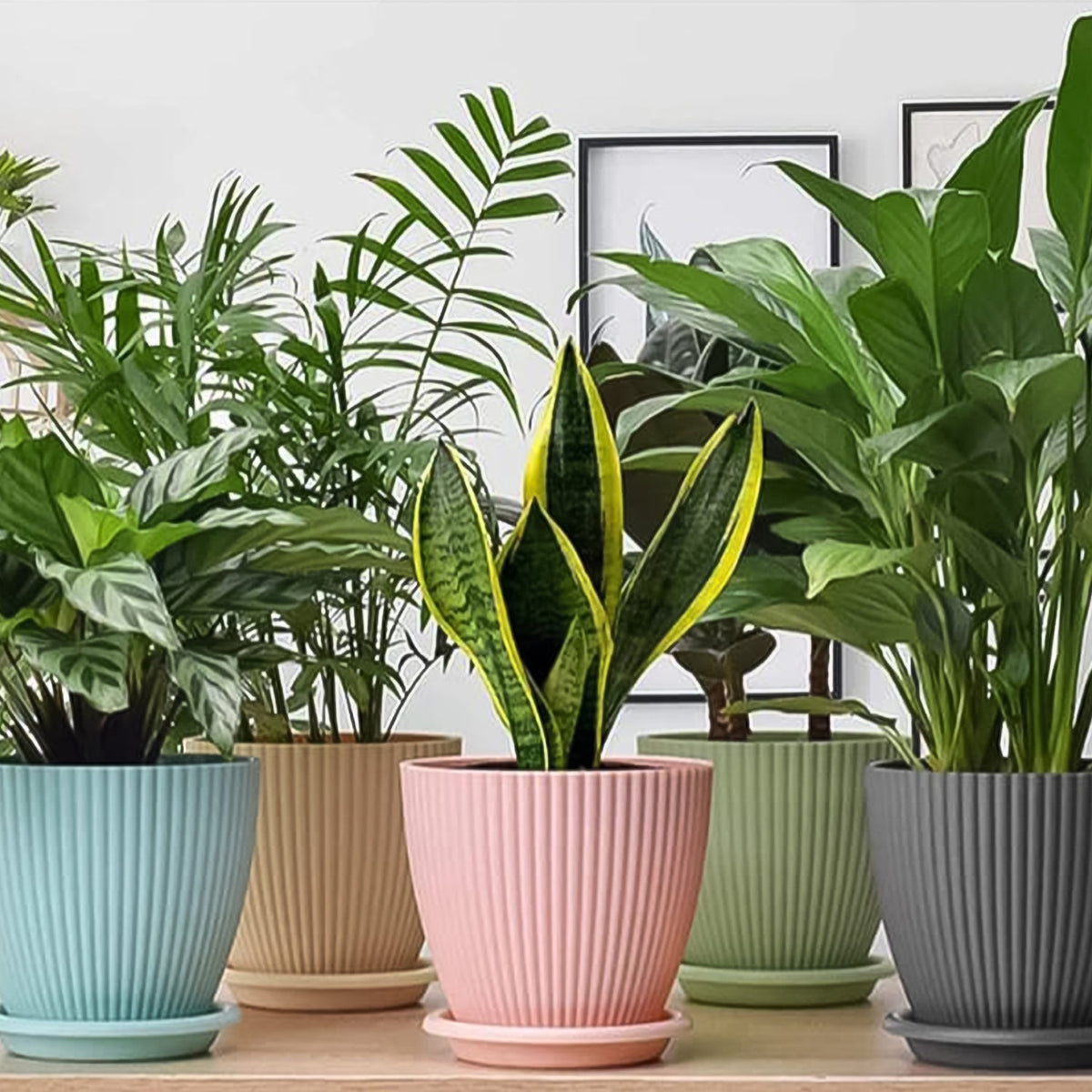 Plastic Flower Pot set – 5 Durable Planters with Trays – view 6