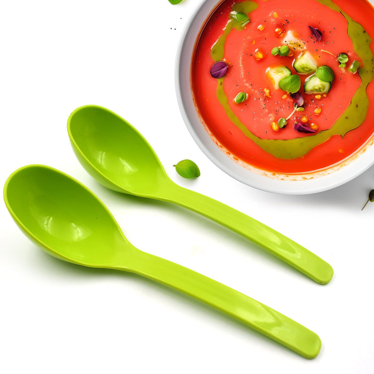 Plastic Kitchen Ladle – 2-Pc Serving Spoon set – close-up