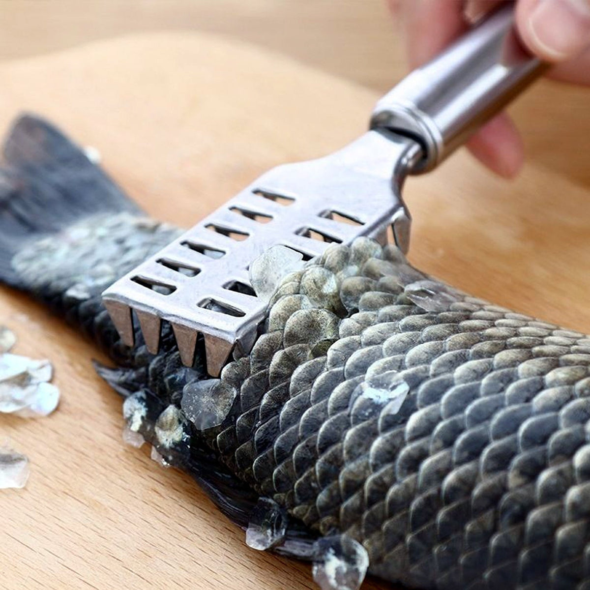 Fish Scale Remover – Sawtooth Stainless Steel Scraper – view 6