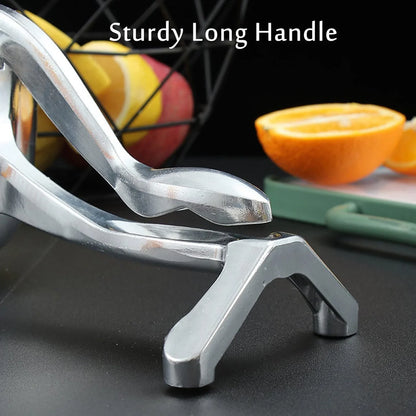 Manual Fruit Juicer – Heavy Duty Aluminium Press – close-up
