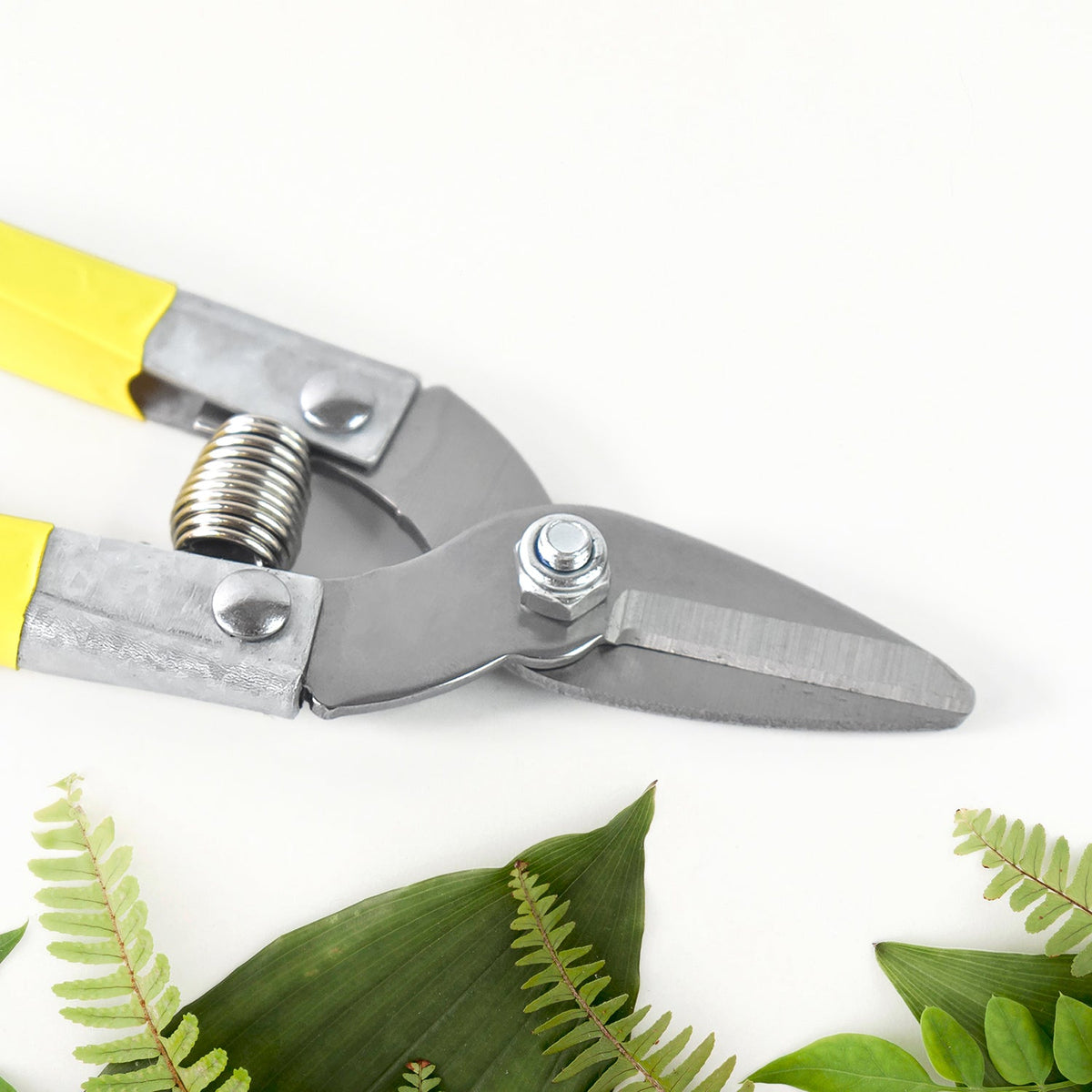 Precision Micro Garden Snip – Sharp Small Pruning Scissor – close-up