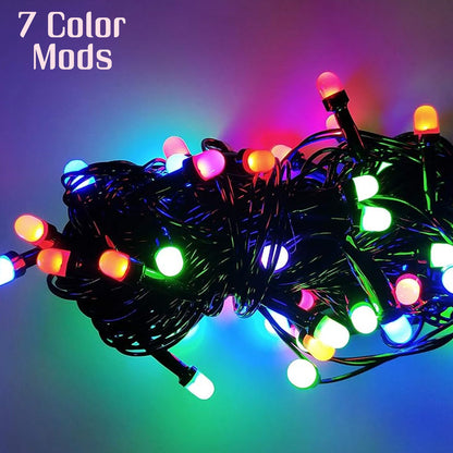 LED String Lights – 3 Metre for Diwali & Wedding Decor – close-up