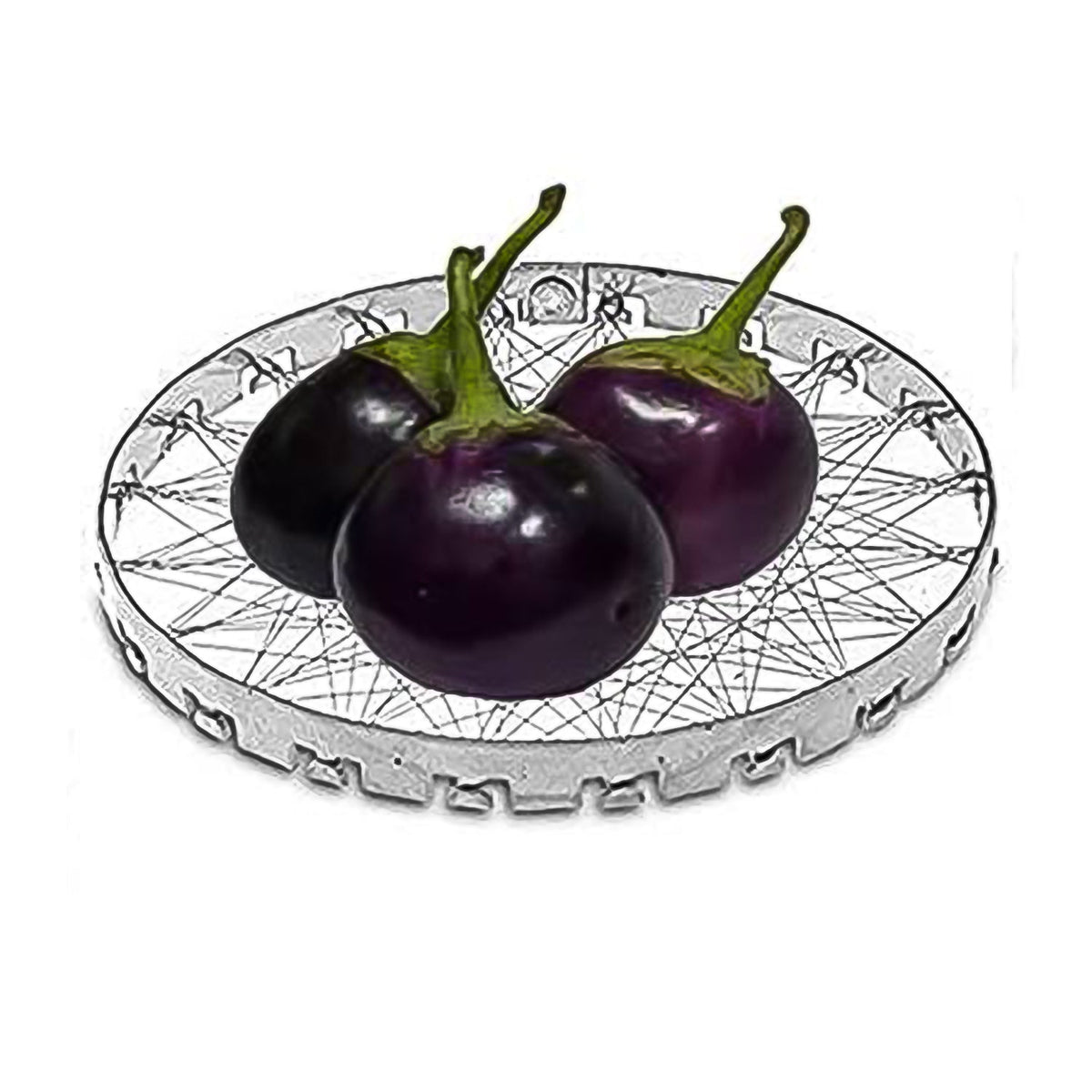 Chota Tandoor Grill – Gas Saver Stainless Steel Jalli – alternate view