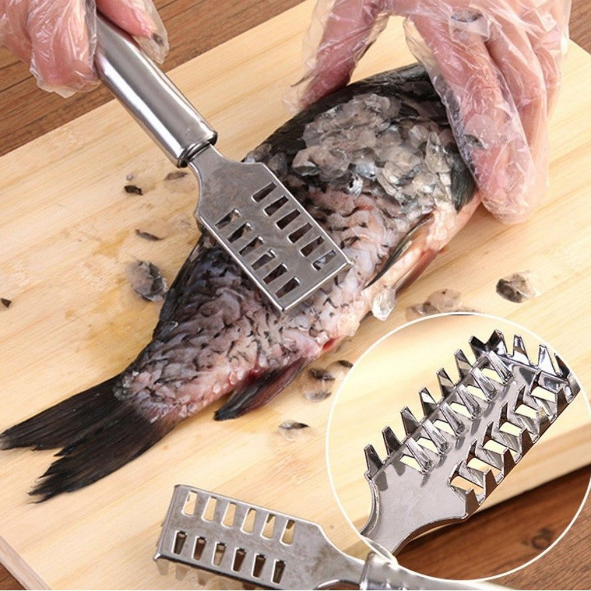 Fish Scale Remover – Sawtooth Stainless Steel Scraper