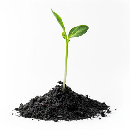Organic Vermicompost – 1 kg Black Soil Manure for Plants – view 7