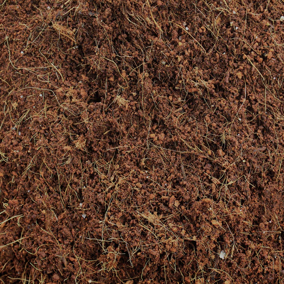 Organic Cocopeat Block – 1 kg Potting Mix for Plants – view 6