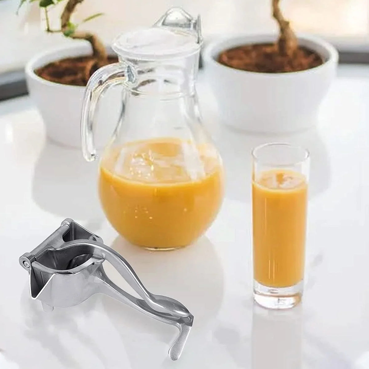 Manual Fruit Juicer – Heavy Duty Aluminium Press – alternate view