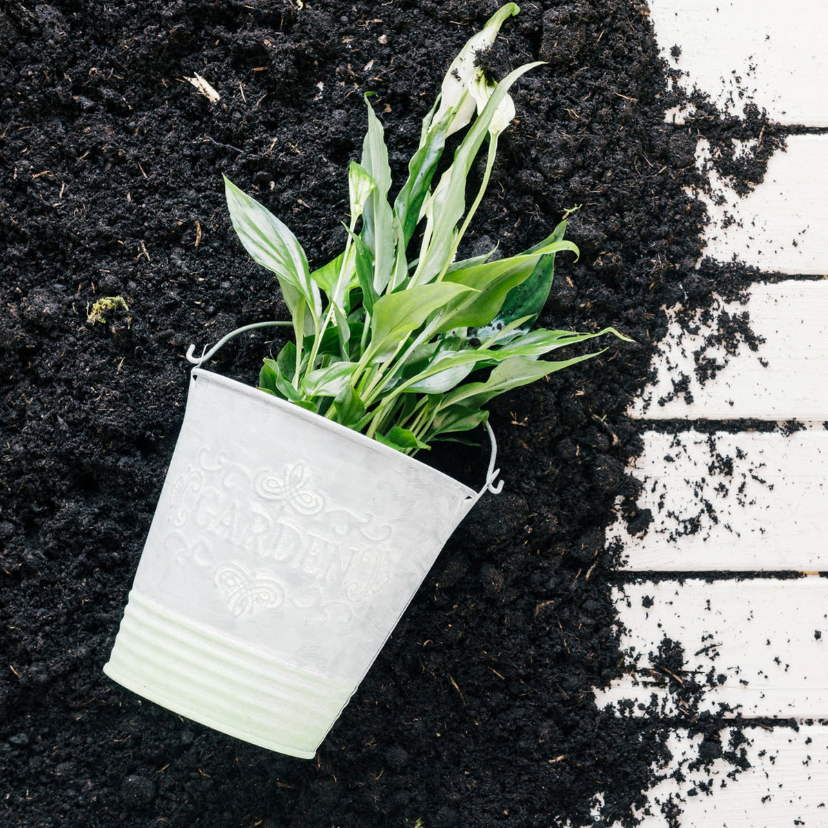 Organic Vermicompost – 1 kg Black Soil Manure for Plants – view 8