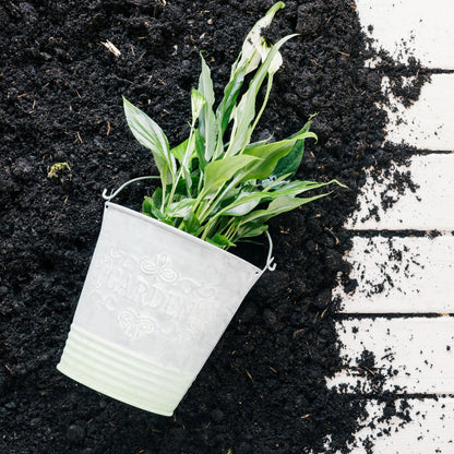 Organic Vermicompost – 1 kg Black Soil Manure for Plants – view 8