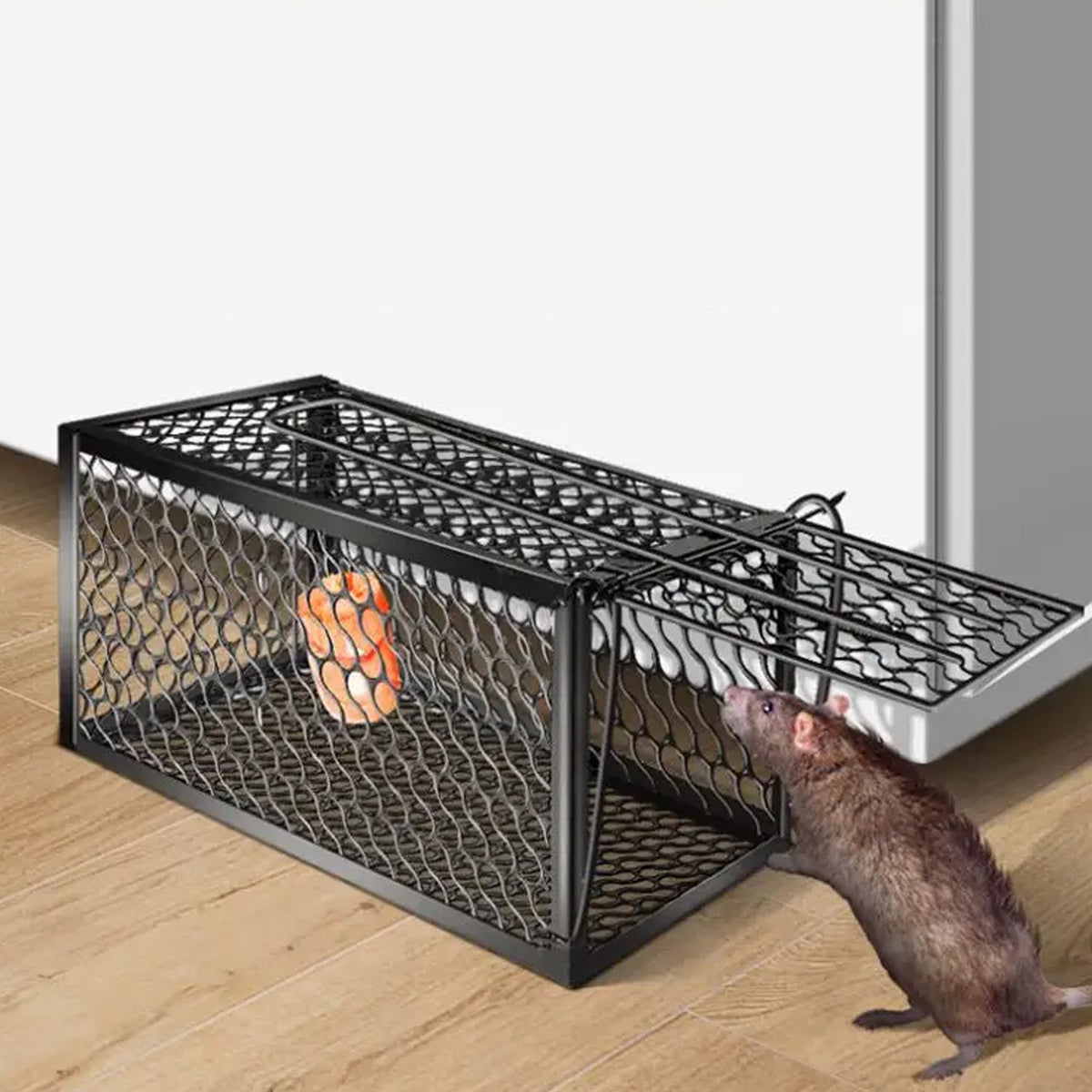 Humane Mouse Trap – Foldable Live Catch Cage for Rodents
