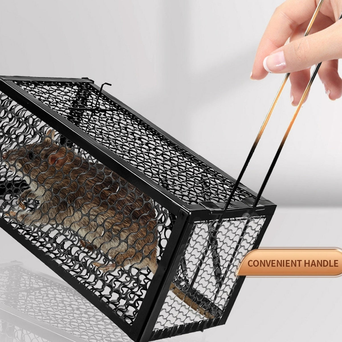 Humane Mouse Trap – Foldable Live Catch Cage for Rodents – close-up