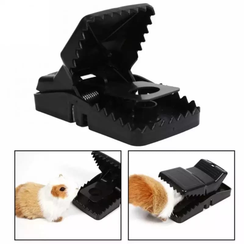 Mouse Trap Cage – Reusable Pest Control for Home – detail view