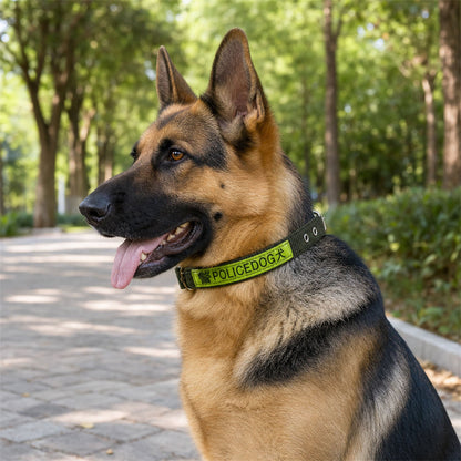 Heavy duty nylon dog collar in a plain background studio shot.