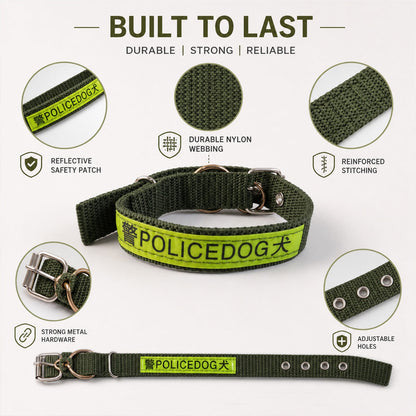 Close up view of the adjustable strap and sturdy metal buckle on a dog collar.