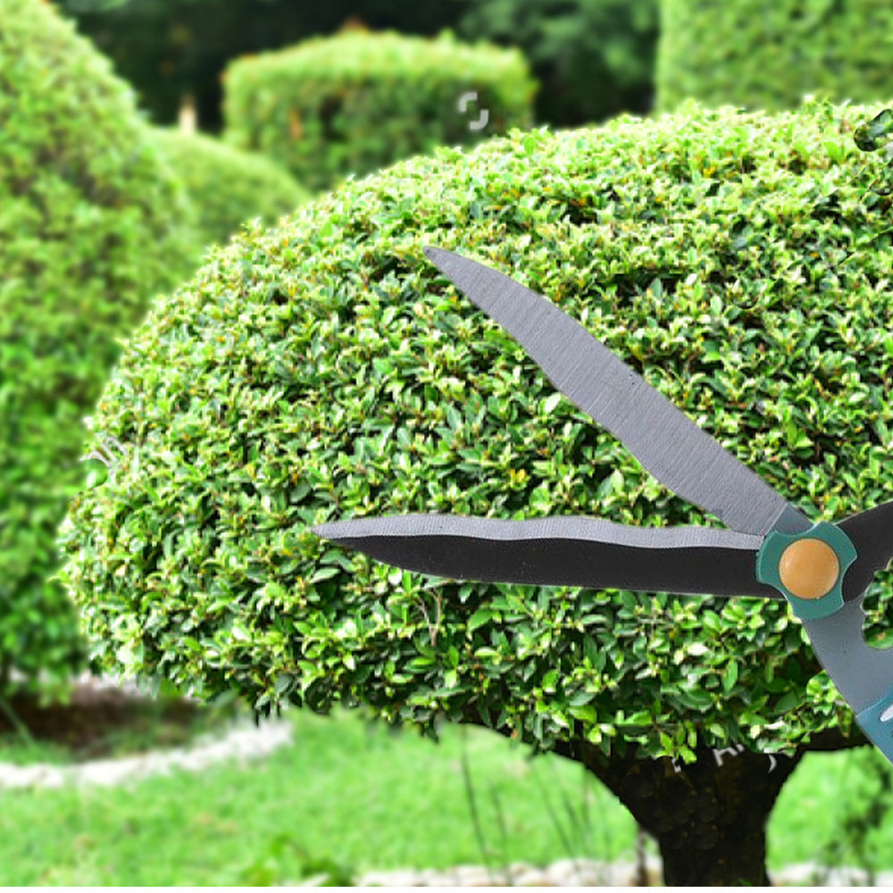 Garden Scissor – Ergonomic Pruning & Trimming Tool