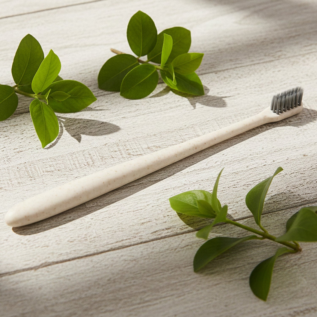 Soft-bristle Toothbrush – Wheat Straw for Gentle Care – detail view