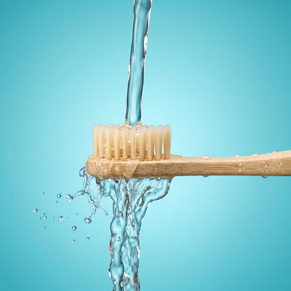 Soft Bamboo Toothbrush, Biodegradable Wooden Toothbrush with Natural Bristles (1 Pc)