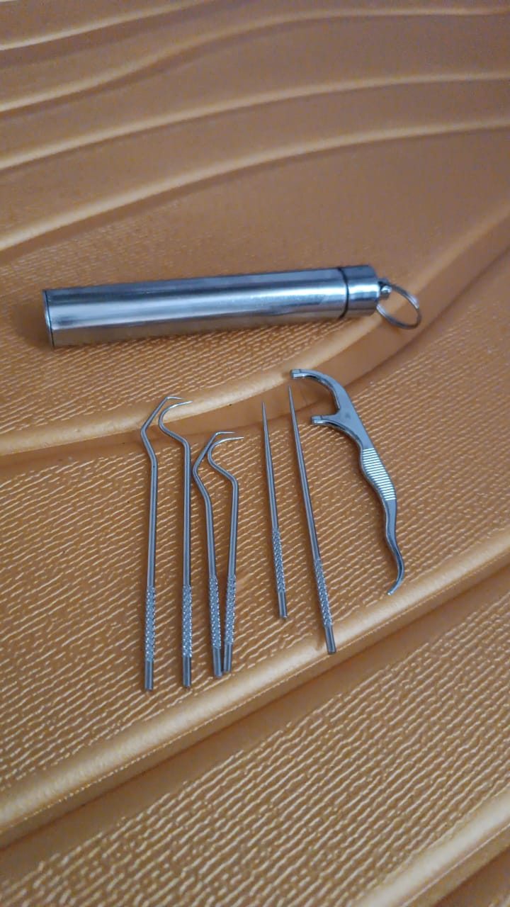 Stainless Steel Toothpick set – 7-in-1 Portable Dental Kit – view 12