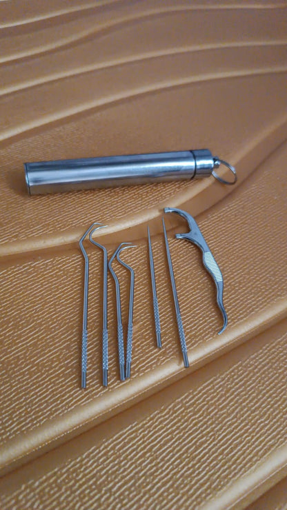 Stainless Steel Toothpick set – 7-in-1 Portable Dental Kit – view 12